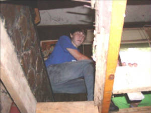 wv9.jpg