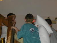 pillowfight.jpg